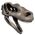 Skeletal Raptor from Ark: Survival Evolved