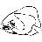 Aberrant Coelacanth