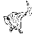 Aberrant Dung Beetle