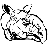 Aberrant Paraceratherium