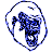 Beta Megapithecus