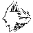 Onychonycteris