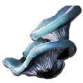 Aquatic Mushroom from Ark: Survival Evolved