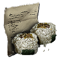 Atlantis Recipes: Oryraise Ball from Ark: Survival Evolved