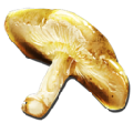 Auric Mushroom from Ark: Survival Evolved