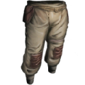 Cloth Pants from Ark: Survival Evolved
