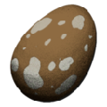 Compy Egg from Ark: Survival Evolved