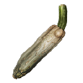 Cucumis from Ark: Survival Evolved