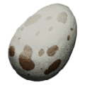 Dodo Egg from Ark: Survival Evolved