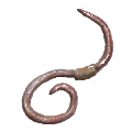 Earthworms from Ark: Survival Evolved