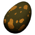 Fertilized Aberrant Carbonemys Egg from Ark: Survival Evolved