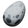 Fertilized Ichthyornis Egg from Ark: Survival Evolved