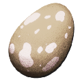 Fertilized Pegomastax Egg from Ark: Survival Evolved