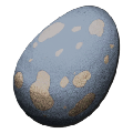 Fertilized Pelagornis Egg from Ark: Survival Evolved