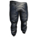 Hide Pants from Ark: Survival Evolved