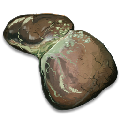 Infected Liver from Ark: Survival Evolved