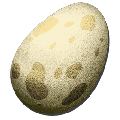 Medium Egg from Ark: Survival Evolved