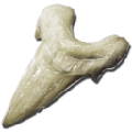 Megalodon Tooth from Ark: Survival Evolved