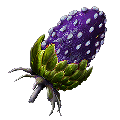 Plant Species W Fruit from Ark: Survival Evolved
