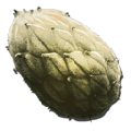 Plant Species Z Seed from Ark: Survival Evolved
