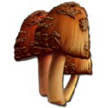 Rare Mushroom from Ark: Survival Evolved