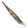 Rock Drake Feather from Ark: Survival Evolved