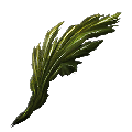 Seaweed from Ark: Survival Evolved