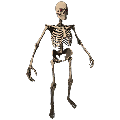 Skeleton Costume Skin from Ark: Survival Evolved