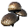 Aggeravic Mushroom