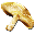 Auric Mushroom