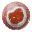 Fertilized Aberrant Angler Egg