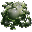 Titanoboa Venom